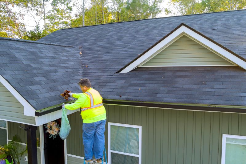 Roofing Maintenance Check